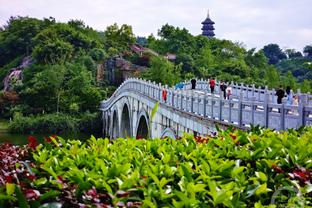 Ý Thiên Không: Địch Ba Lạp đang cố gắng trở lại trước trận đấu với Vưu Văn, nhưng rất khó ra sân.